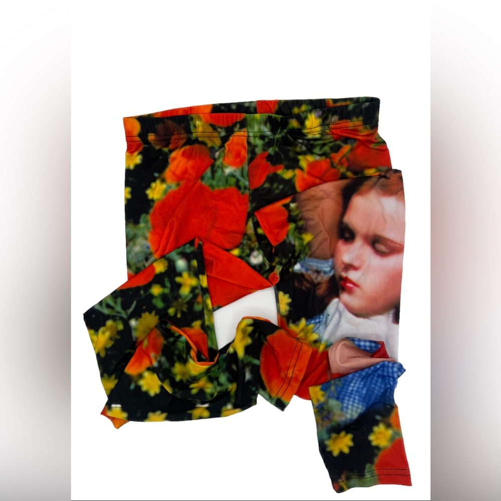 Wizard Of OZ  Dorothy Leggings Yoga Pant Large Poppy field Judy Garland HotTopic